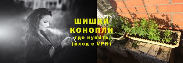 соль ск Богданович